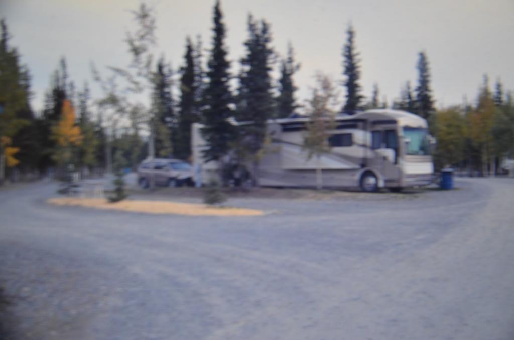 Tok Rv Village And Cabins 객실 사진