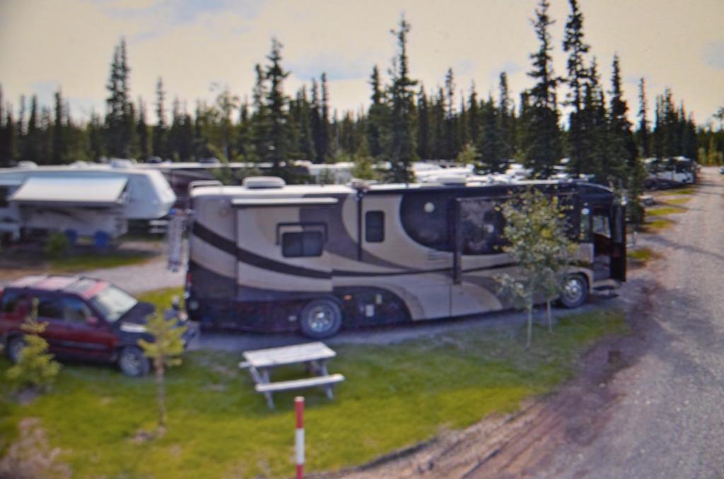 Tok Rv Village And Cabins 객실 사진