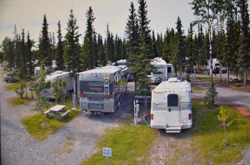 Tok Rv Village And Cabins 객실 사진